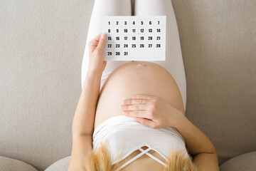 Young adult pregnant woman with big naked belly sitting on sofa at home. Hand holding calendar and...