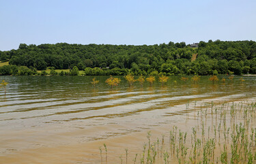 Normandy Lake - Tennessee