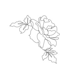 One single line drawing of rose flower. Abstract botanical line art.