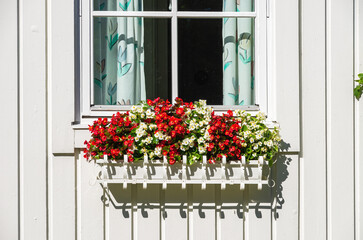 Flower Box With Red Flowers At A Window