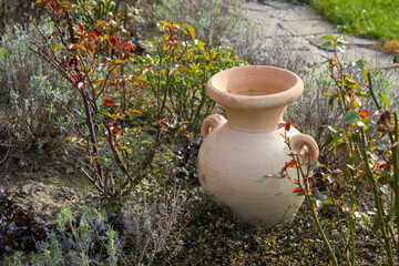 flowerbed in the garden - roses, lavender flowers and clay pot