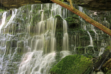 Machine Falls and wooden stem - Short Springs Natural Area, Tennessee
