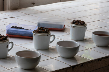 Ella, Sri Lanka Tea tasting and cups at a tea factory. 