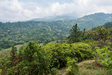 Obraz premium Diyaluma Falls, Sri Lanka A path through the highland jungle hiking up to the falls.