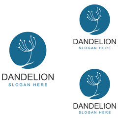 Dandelion flower logo and symbol design vector illustration template