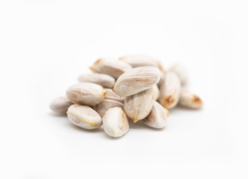 Artocarpus lacucha, also known as monkey fruit, or Monkey Jack seeds on white.