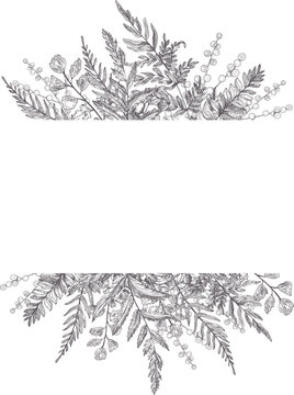 Fern Hand Drawn Monochrome Background Frame