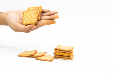 biscuit in a hand isolated on white background