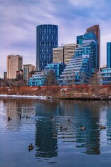 Fototapeta na wymiar Downtown Buildings Reflecting On A Park Lake