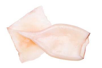 Raw tasty squids isolated on white background