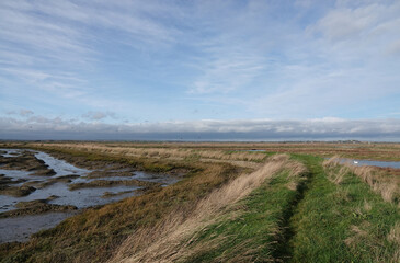 A scenic view along a grassy footpath through Old Hall Marshes, Essex, UK on a bright winter's day. 