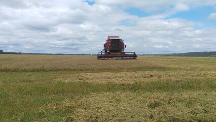 Obraz premium A combine harvester is working in a field of mature barley, harvesting and threshing. Behind the field, a forest grows. Clouds move across the blue sky and cover the sun