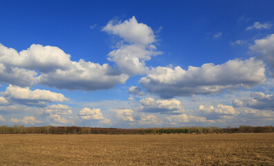 agricultural field under nice sky