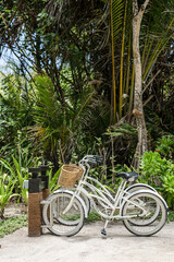 cruiser bikes on the island