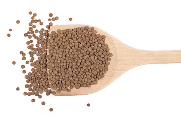 Brown uncooked lentils in wooden spoon isolated on white