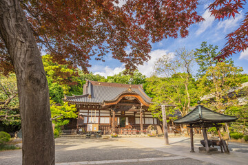 新緑　爽やか　寺　建築　深大寺