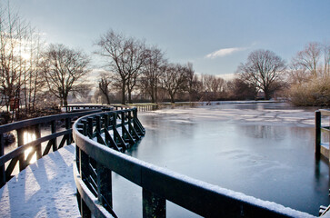 Naklejka premium bridge in the park