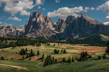 Meadows with wooden cabins at Alpe di Siusi during summer with view to mountains of Plattkofel and Langkofel in the Dolomite Alps in South Tyrol, Italy. - 496163500