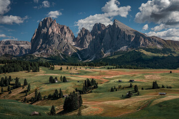 Meadows with wooden cabins at Alpe di Siusi during summer with view to mountains of Plattkofel and Langkofel in the Dolomite Alps in South Tyrol, Italy. - 496163501