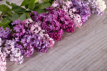 Blooming lilac flowers on a grey wooden table
