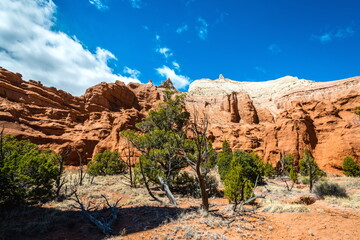 Kodachrome Basin State Park in Spring