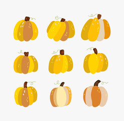pumpkin vegetable isolated vector set