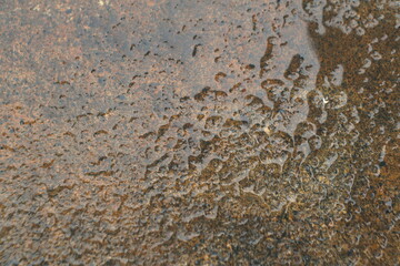 wet surface of ceramic tiles 