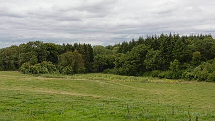 Fototapeta na wymiar MEadow and forest in Condroz region, Wallonia, Belgium