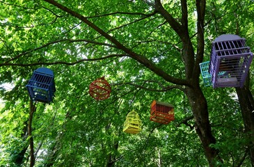 many cages for birds in the forest