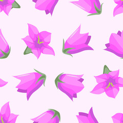 Vector seamless pattern with pink campanulas buds; flower pattern for wrapping paper, greeting cards, packaging, fabric and other design. - 496168153