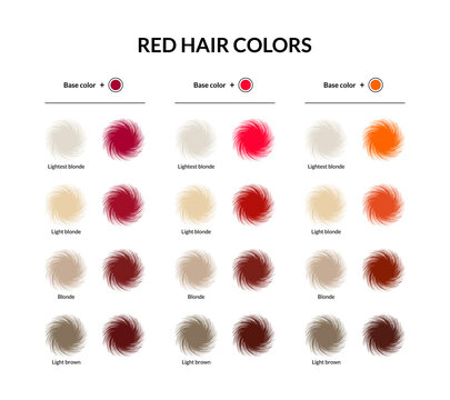 Hair Colour Chart Images – Browse 3,883 Stock Photos, Vectors, and Video |  Adobe Stock