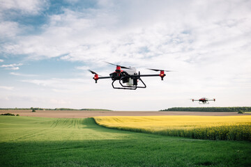 Fototapeta na wymiar Agriculture drone spraying water fertilizer on the sunflower field