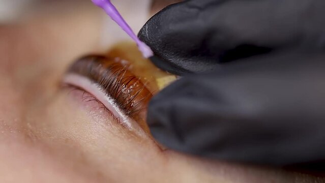 lamination of cilia on the eyes the master straightens the eyelashes with the help of micro brushes