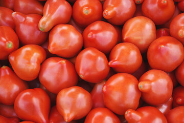 tasty organic red tomatoes background