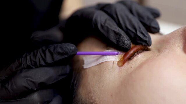 lamination of cilia on the eyes the master straightens the eyelashes with the help of micro brushes