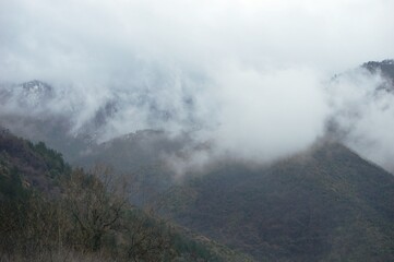 landscape of hills in the morning mist