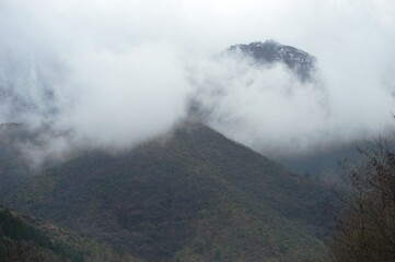 Fototapeta premium landscape of hills in the morning mist