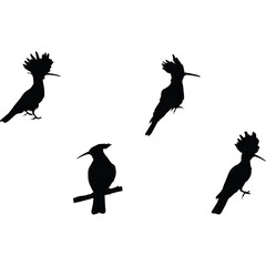 Hoopoe Silhouette Vector © Loveleen