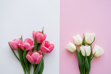 top view of blossoming tulips on white and pink.