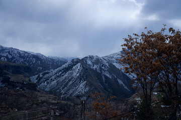 power line and trees with yellowed foliage against the backdrop of mountains