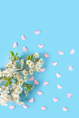 White cherry flowers and little pink hearts on blue background. romantic concept, love symbol. minimal style. festive spring season. flat lay