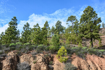 promontorio interno all'isola di gran canaria vicino al monumento simbolo roque nublo