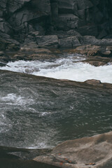 small river flowing through the forest. mountain stream