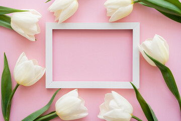 top view of white frame near tulips on pink.