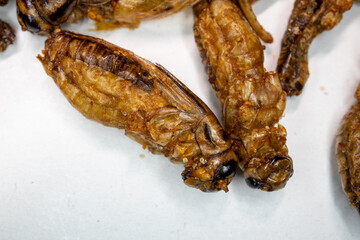 Fried crickets detail, macro