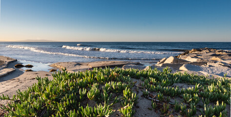 view of the coast of the sea © Ilya