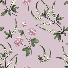 seamless pattern of meadow flowers clover cornflower tansy, anise, thistle isolated