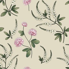 seamless pattern of meadow flowers clover cornflower tansy, anise, thistle isolated