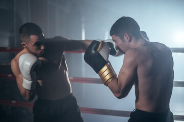 Fototapeta na wymiar Two muscular mixed martial arts athletes fighting in the ring. High quality photography.