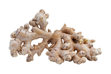 Ginger root isolated on white background, top view